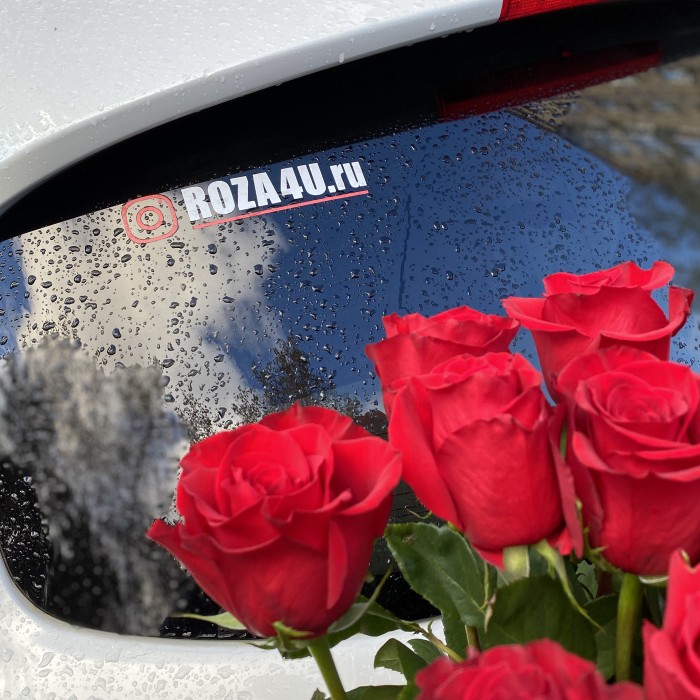 Высокие красные розы