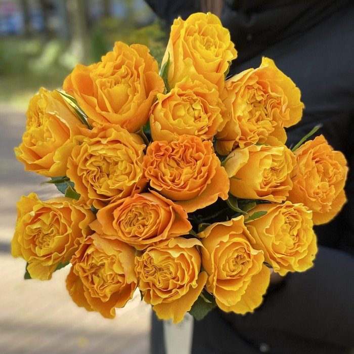 Пионовидная роза Оранж Рива