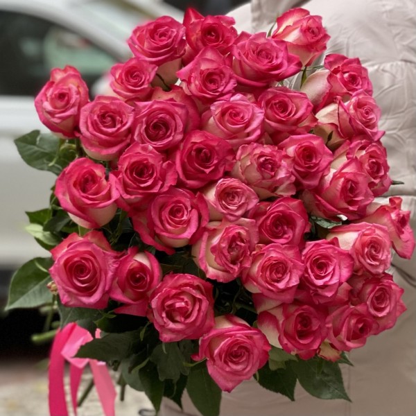 Малиново-белая роза Дабл Фэшн