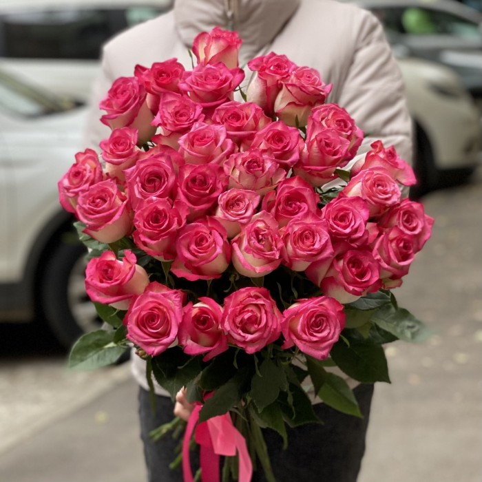 Малиново-белая роза Дабл Фэшн