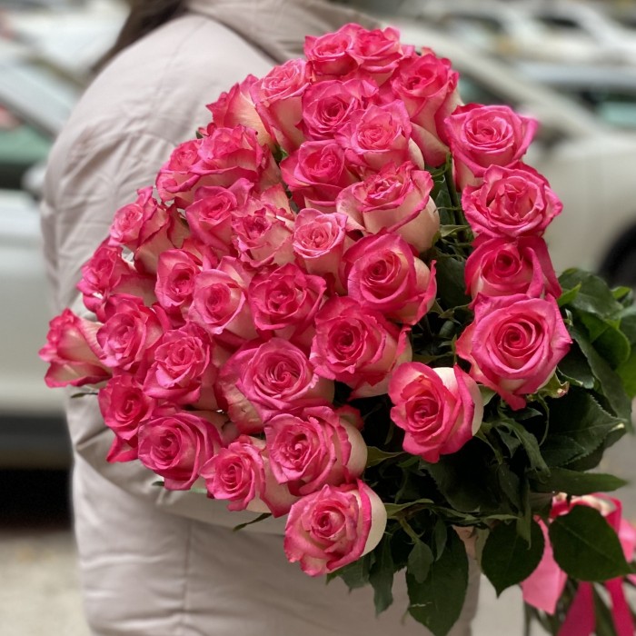 Малиново-белая роза Дабл Фэшн