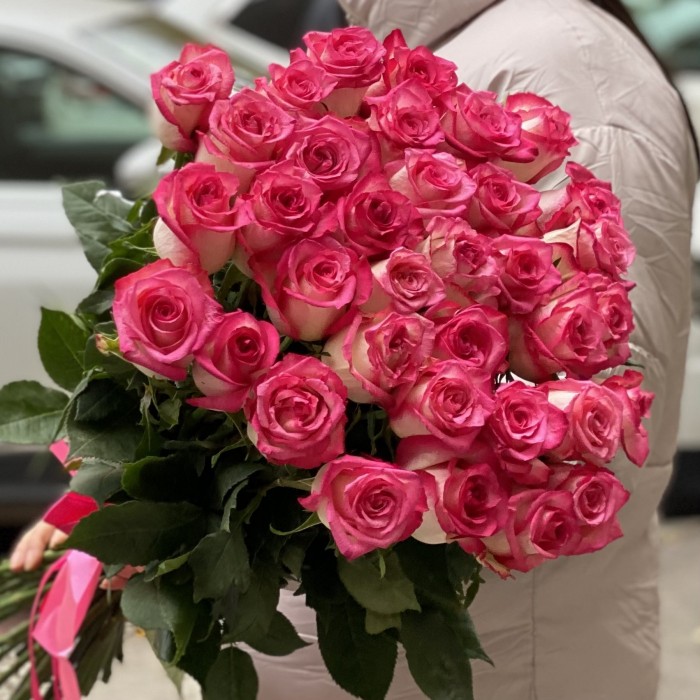 Малиново-белая роза Дабл Фэшн