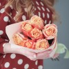 7 красно-оранжевых роз 3Д