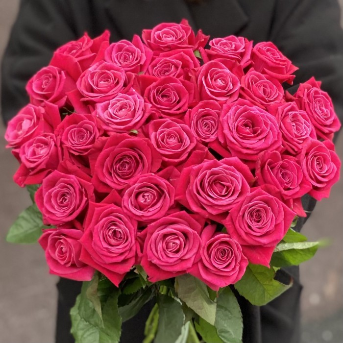 Малиновая роза Шангрила