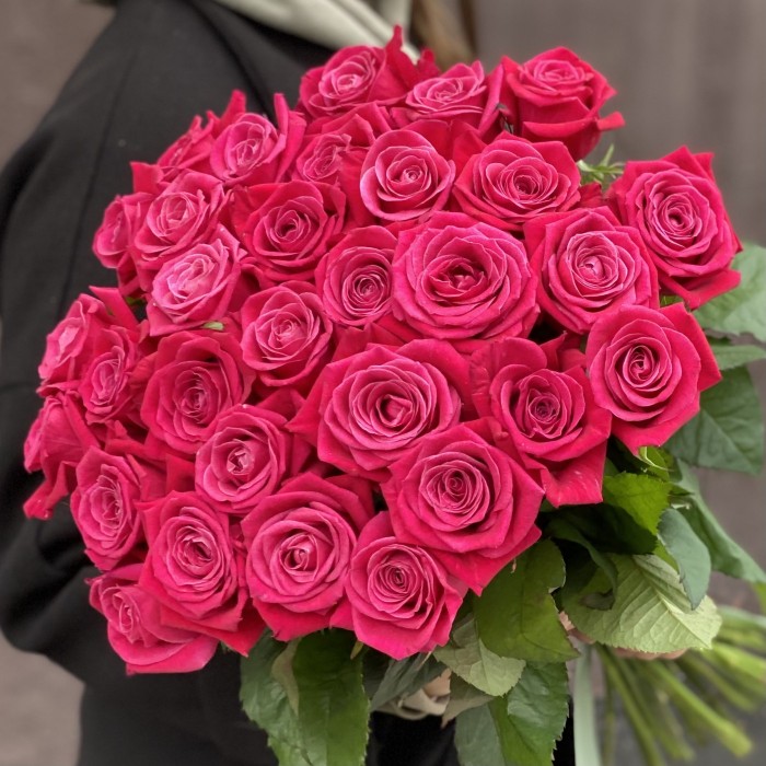 Малиновая роза Шангрила