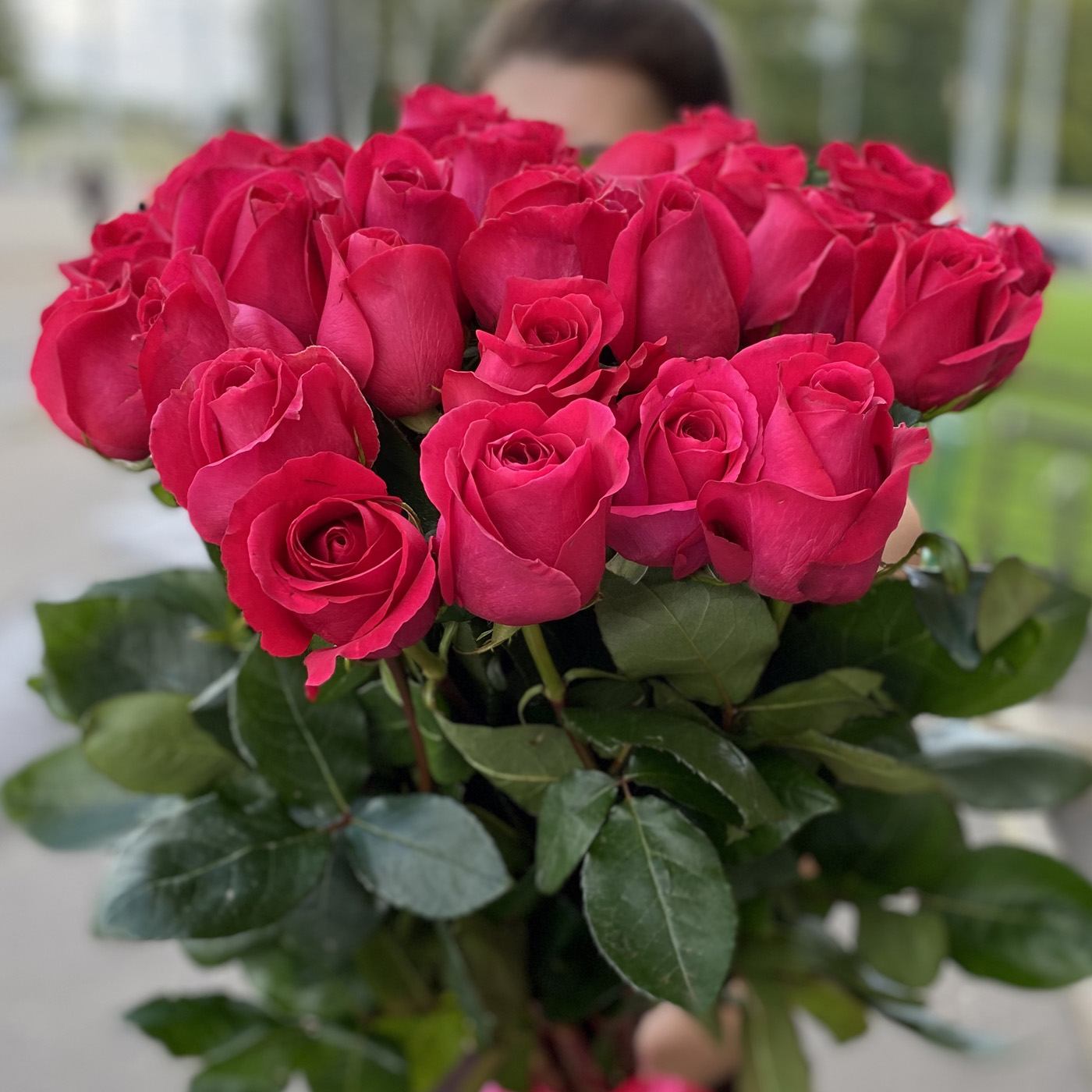Розы Пинк Флойд | купить недорого | доставка по Москве и области