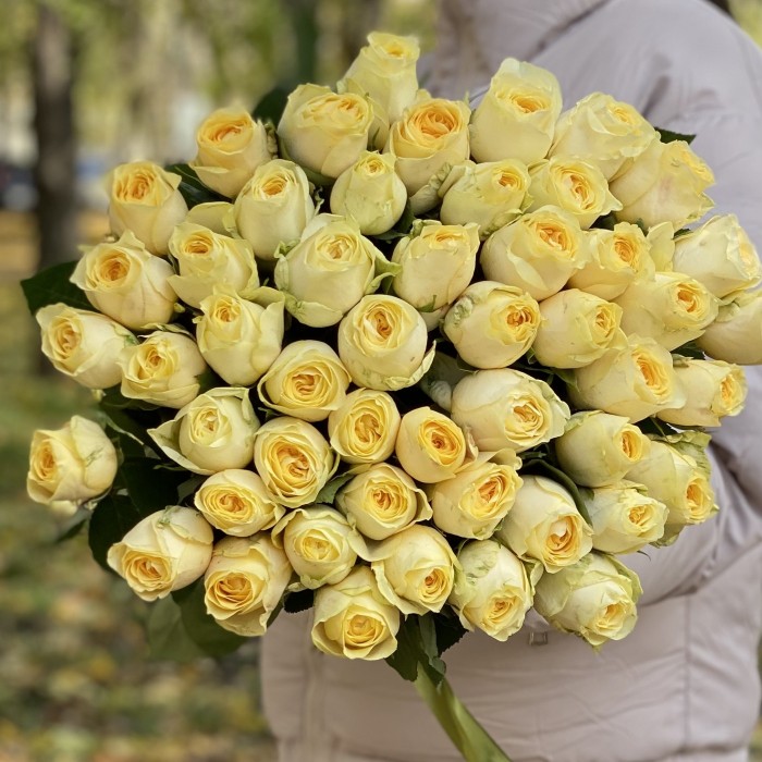 Роза Баттеркап 50 см