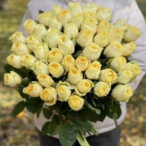 Роза Баттеркап 40 см