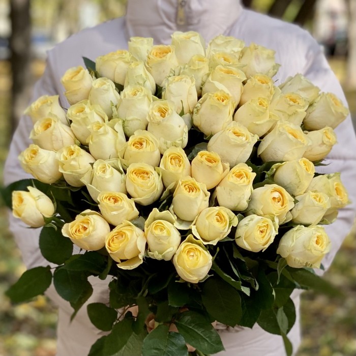 Роза Баттеркап 50 см