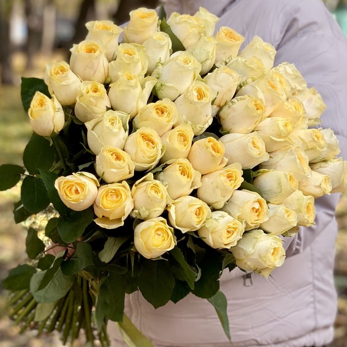 Роза Баттеркап 50 см