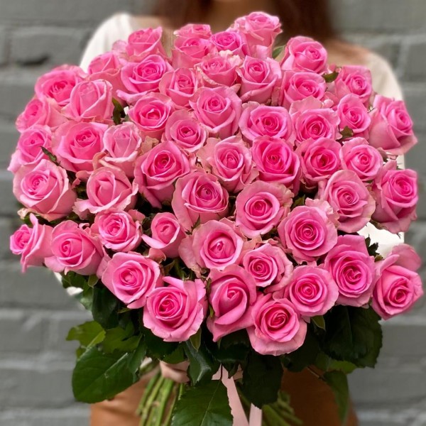 Роза Ревиваль 60 см