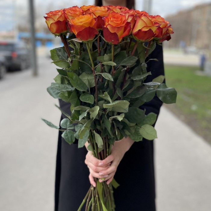 Роза Хай Мэджик 60-70 см