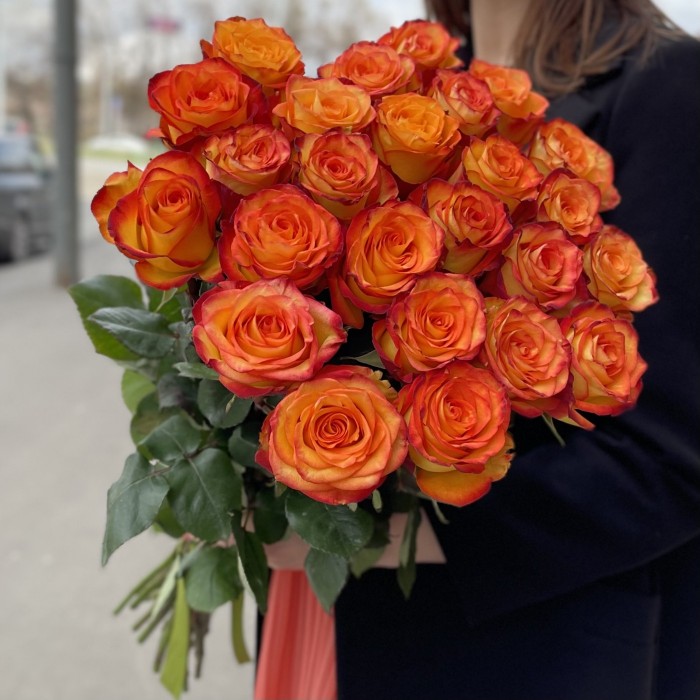 Роза Хай Мэджик 60-70 см