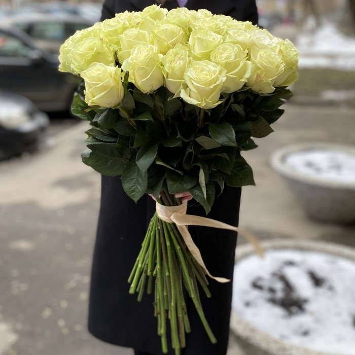 Роза Мондиаль 60 см