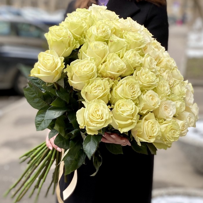 Роза Мондиаль 60 см