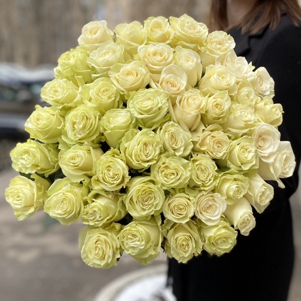 Роза Мондиаль 60 см