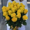 25 желтых роз Хай Еллоу 60 см