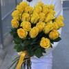 25 желтых роз Хай Еллоу 60 см