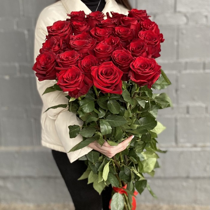 25 длинных красных роз 110 см