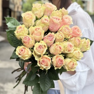 Роза Фруттето 60 см