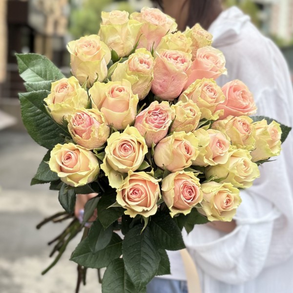 Роза Фруттето 60 см