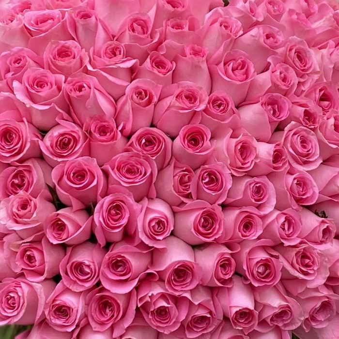 201 розовая роза Ревиваль 50 см