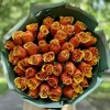 51 оранжевая роза Бермуда