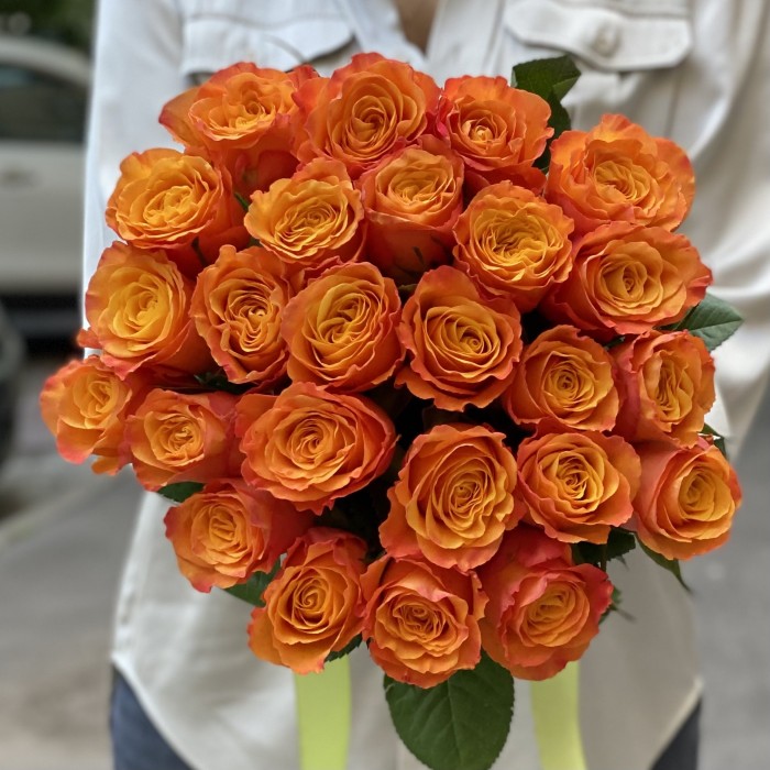 Роза Конфиденшл (Confidential) 40 см