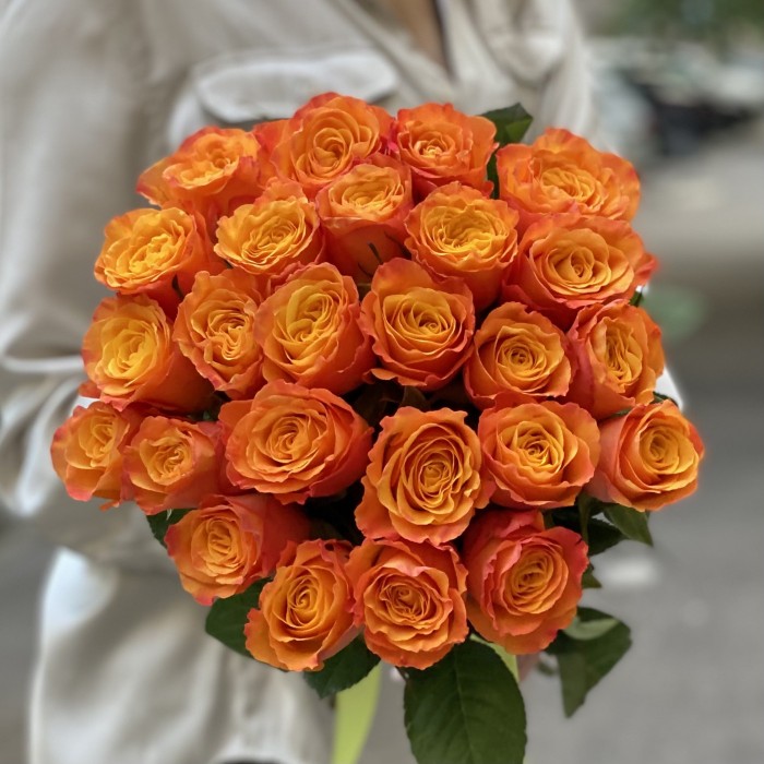 Роза Конфиденшл (Confidential) 40 см