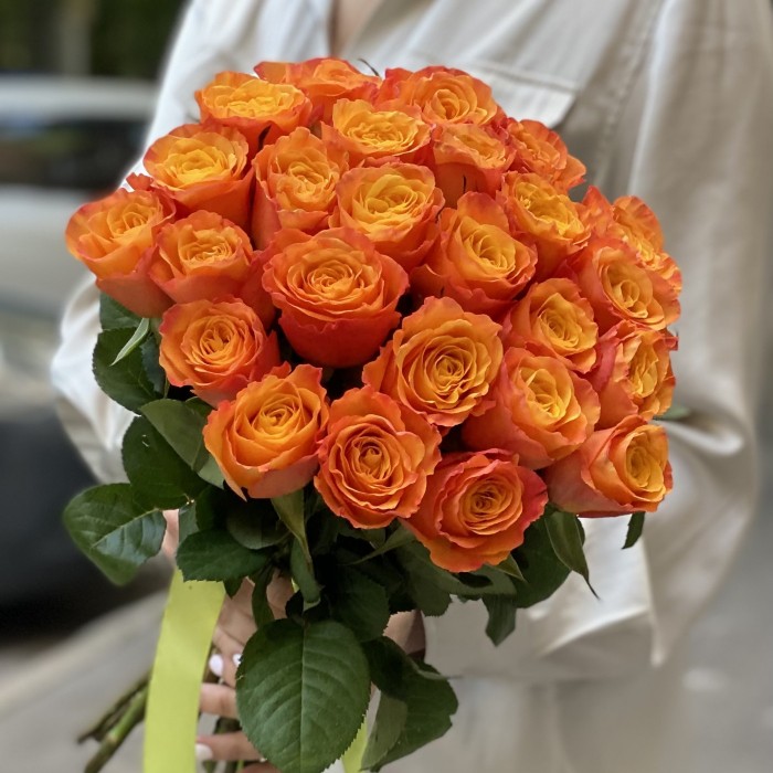 Роза Конфиденшл (Confidential) 40 см