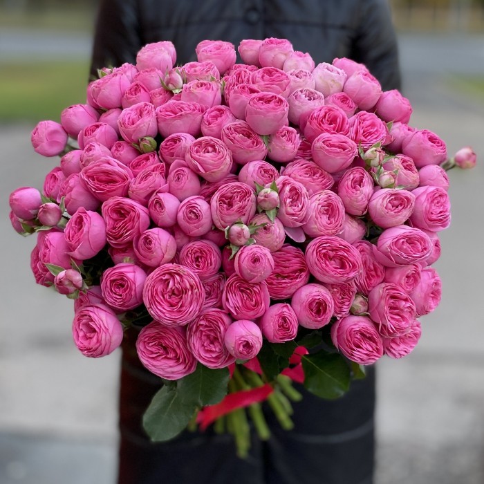 Кустовая  розовая роза Жизель