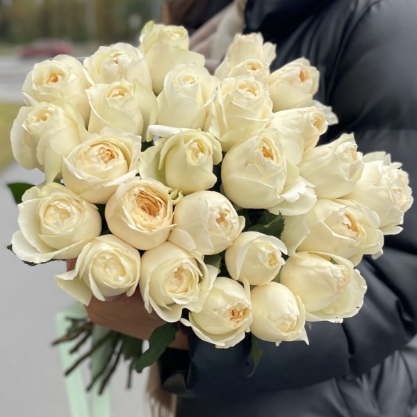 Пионовидная роза Инносент