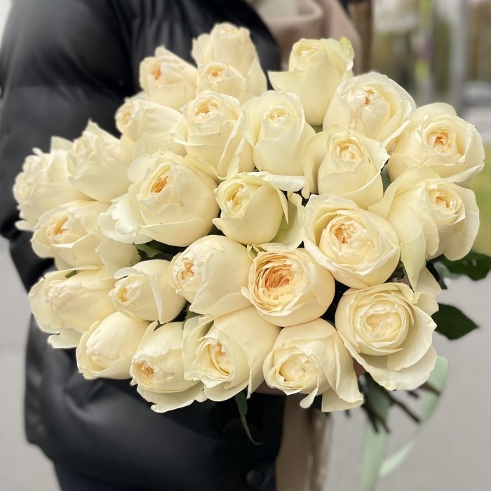 Пионовидная роза Инносент