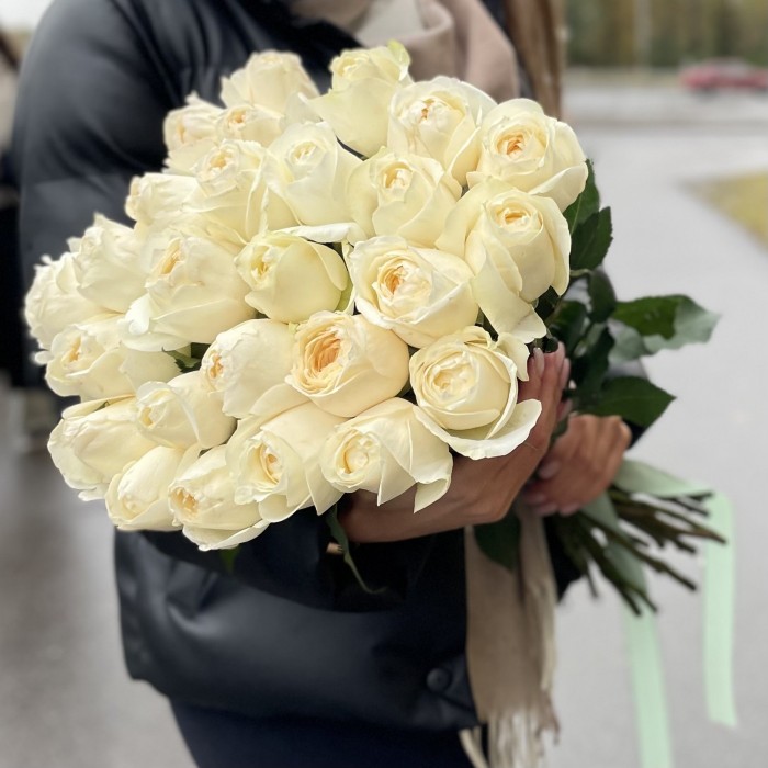 Пионовидная роза Инносент