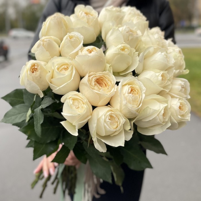 Пионовидная роза Инносент