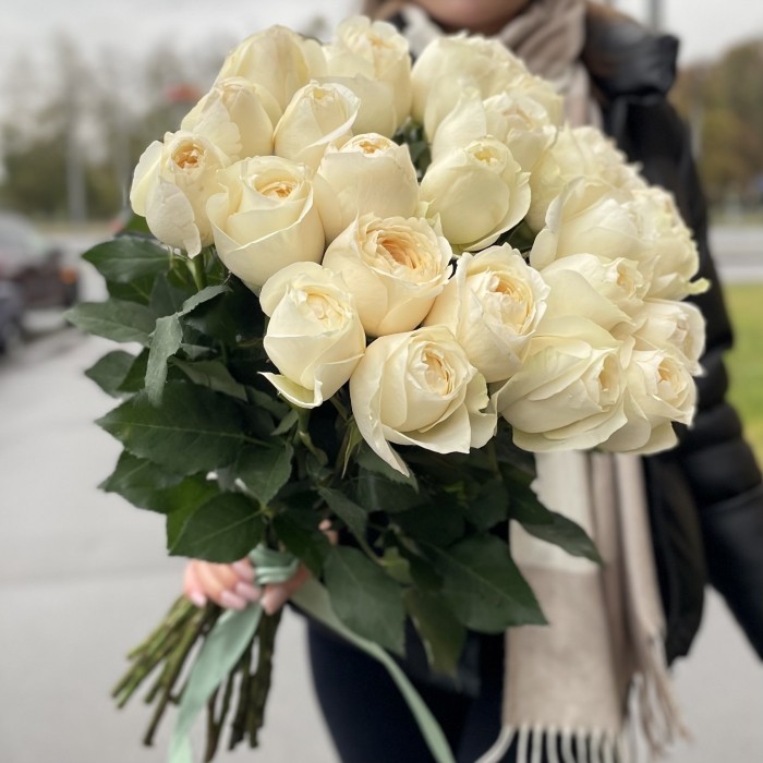 Пионовидная роза Инносент