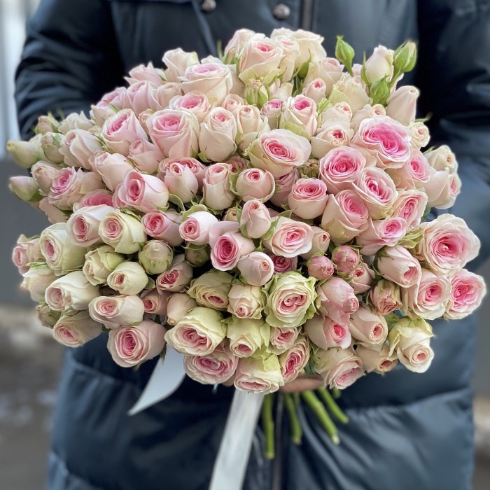 Кустовая пионовидная роза Гуд Муд