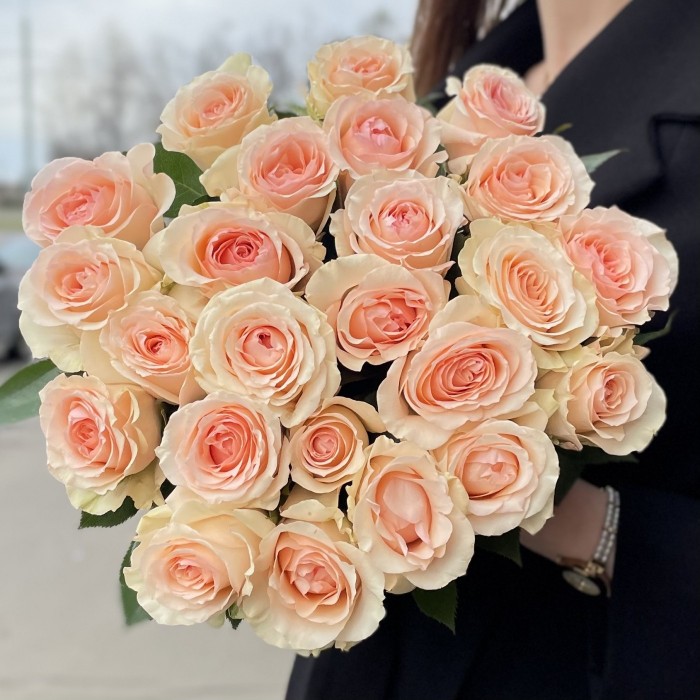 Пионовидная роза Алина парфюмелла Alina parfumella