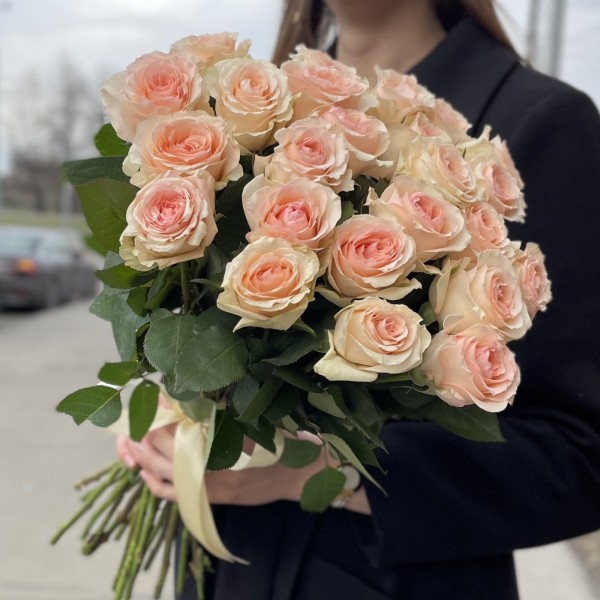 Пионовидная роза Алина парфюмелла Alina parfumella