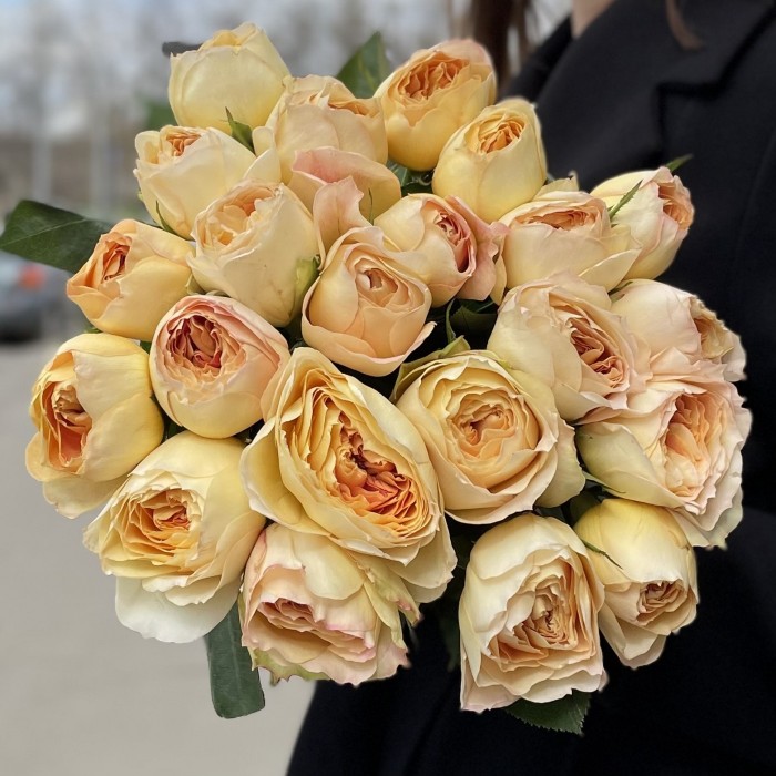 Пионовидная роза Карамел антик Caramel antike