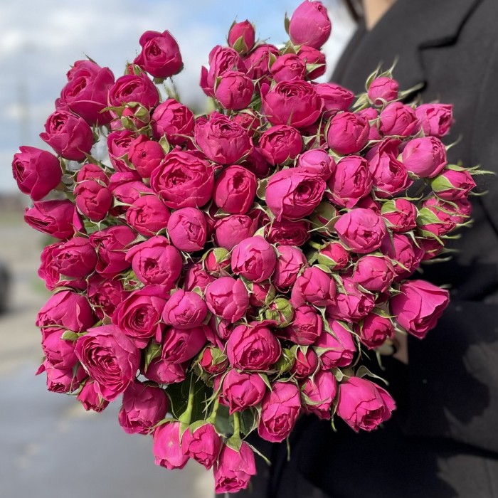 Пионовидная роза Перпл тамбурин Purple tombourine