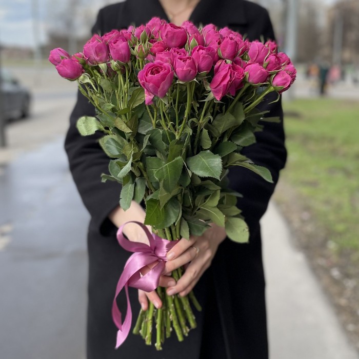 Пионовидная роза Перпл тамбурин Purple tombourine