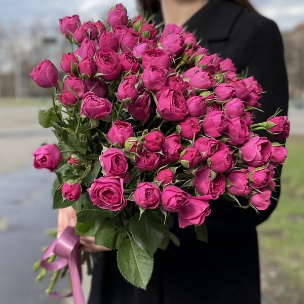 Пионовидная роза Перпл тамбурин Purple tombourine