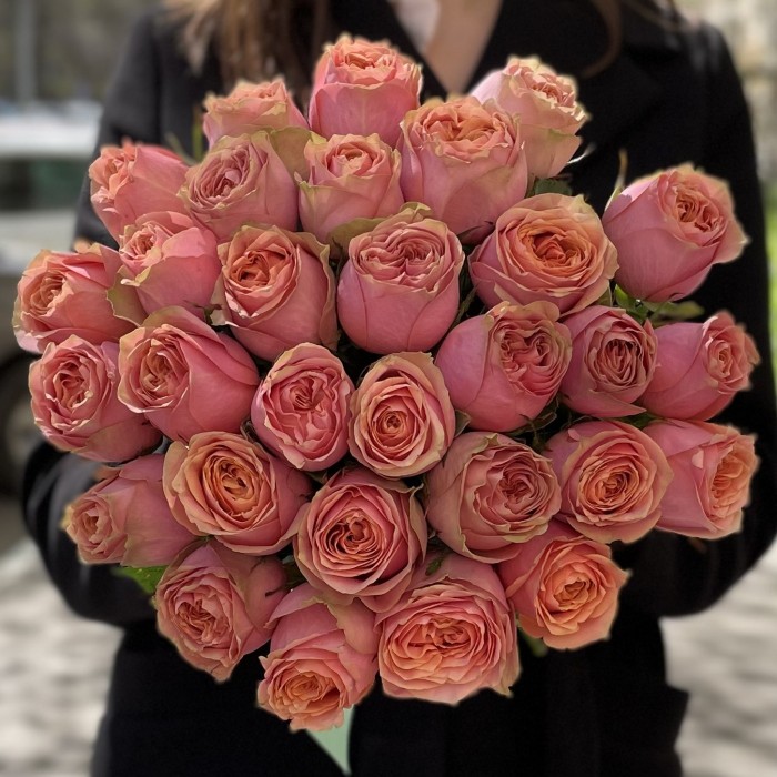 Пионовидная роза Вайлд Лук Wild look