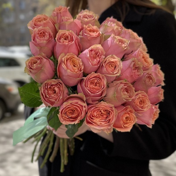 Пионовидная роза Вайлд Лук Wild look