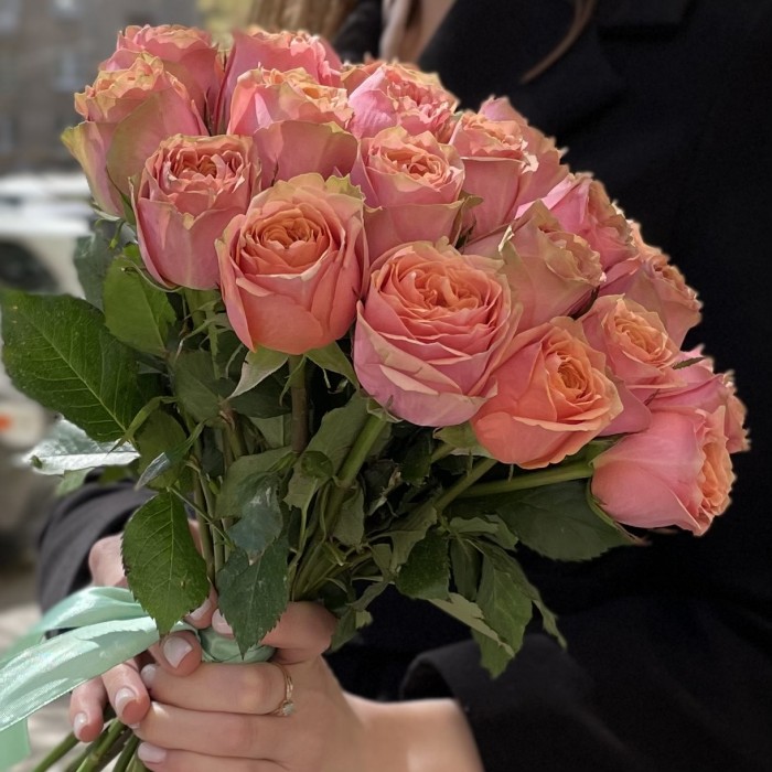 Пионовидная роза Вайлд Лук Wild look