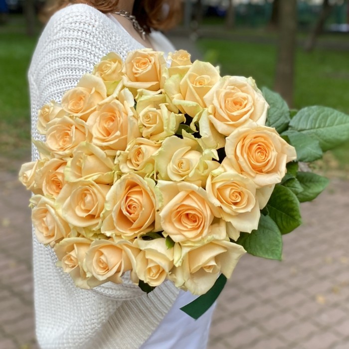 Роза Пич Аваланш 40 см