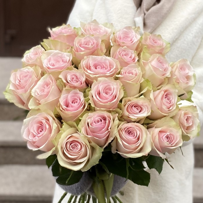 Роза нежно-розовая Пинк Атена 50 см