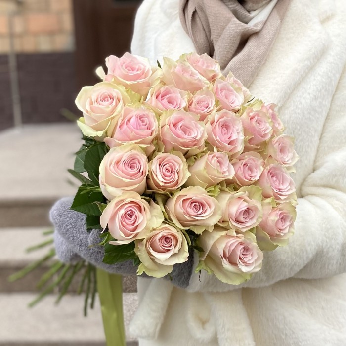 Роза нежно-розовая Пинк Атена 50 см