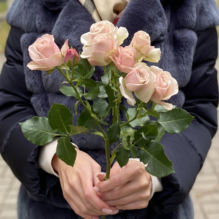 Кустовая пионовидная роза Дестини